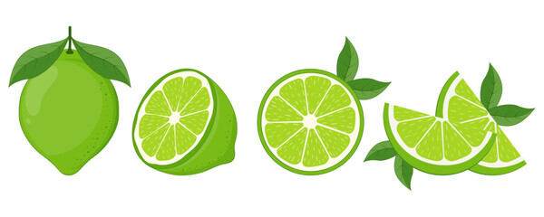 Wall Mural - fresh lime fruit. collection of lime vector icons isolated on white background. vector illustration