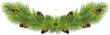 pine garland. Christmas and New Year. naturalness and environmental friendliness. on transparent, png. illustration