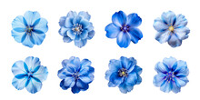 Collection Of Various Blue Flowers Isolated On A Transparent Background