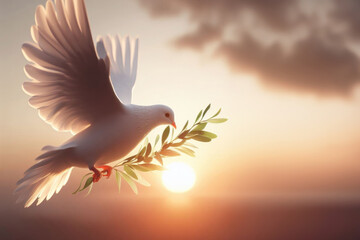 white dove or white pigeon carrying olive leaf branch on Sunrise. White Dove carrying olive leaf branch on Beautiful light. White Dove carrying leaf branch on sky