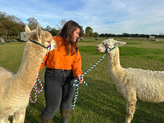 Young woman with two alpacas, a Huacaya and a Suri, outdoors