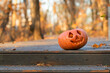 jack o lantern in the garden. Halloween pumpkin head jack lantern on wooden steps