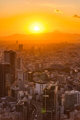 Canvas Print - Asia Business concept for real estate and corporate construction - panoramic modern city skyline bird eye aerial view in Shibuya Sky, Tokyo, Japan