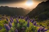 Fototapeta Niebo - sunrise in the mountains