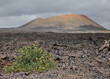 View of Volcan Cuervo or Cuervo Volcano in The Parque Nacional de los volcanes, Lanzarote, Canary Islands, Spain