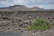 View of lava flows and volcanoes in Timanfaya National Park, Island of Lanzarote, Canary Islands.