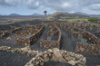View of agricultural walls near Yaiza on The Isalnd of Lanzarote, Canary Islands, Spain.