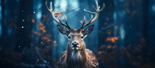 Beautiful Deer In Foggy Atmospheric Winter Forest