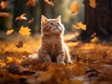 Fototapeta Koty - Playful cat batting at falling autumn leaves in a sunlit garden
