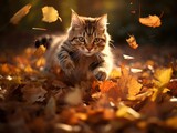 Fototapeta Koty - Playful cat batting at falling autumn leaves in a sunlit garden