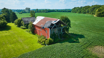 Wall Mural - Gorgeous summer day aerial over soybean farm with two decaying barns