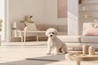 Purebred pedigreed white Bichon Frize dog in a modern interior of a bright, cozy living room in a Scandinavian style in soft colors. Cute puppy. Copy Space. Advertising, banner, poster, placard.