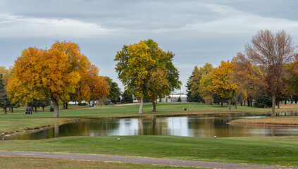 Wall Mural - beautiful autumn landscape scenery with colors water clouds trees and grass