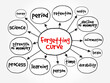 Forgetting Curve - the decline of memory retention in time, mind map concept background