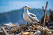 Seagull perching on debris, promoting clean oceans and waste reduction. Generative AI