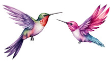 Watercolor Set Of Hummingbird Elements Collection Clipart . Generative Ai
