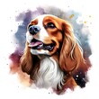 Watercolor painting of spaniel dog