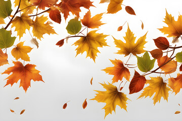 Wall Mural - a fall leaves on a branch isolated on transparent