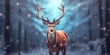 Noble Deer Male In The Winter Snow Forest. Artistic Winter Christmas Landscape.
