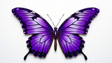 Fototapeta Motyle - Beautiful purple butterfly