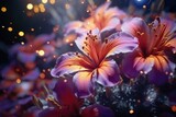 Fototapeta Storczyk - Close-Up of Flowers with Background Lights