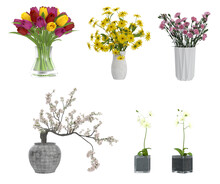 Collection Of Vases With Yellow Flowers, Pink, Peach Blossoms, Daisies For Interior Design 3D Render For Interior Decoration.Collezione Di Vasi Con Fiori Gialli, Rosa, Fiori Di Pesco, Margherite.