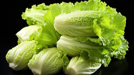 fresh green Chinese cabbage