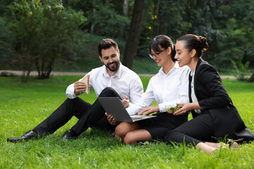 Wall Mural - Happy colleagues with laptop having business lunch on green grass in park