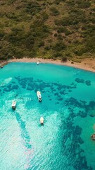 Wall Mural - Aerial vertical shot of Luxury yachts in Akvaryum koyu lagoon in Bodrum Turkey