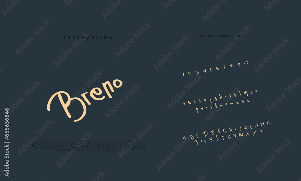 Brophy Script Handwritten Script font. Hand drawn brush style modern calligraphy ...