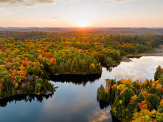 Wall Mural - High angle view of a sunrise over a narrow lake and forest in autumn