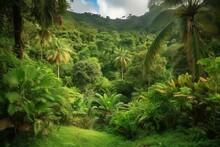 A Wide View Of Lush Green Vegetation In A Tropical Setting. Generative AI