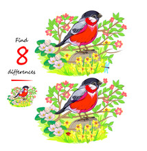 Find 8 Differences. Illustration Of Cute Little Bird In Spring Garden. Logic Puzzle Game For Children And Adults. Page For Kids Brain Teaser Book. Task For Attentiveness. Vector Cartoon Drawing.