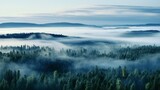 Fototapeta Na ścianę - Nordic forest, forest landscape, foggy, evening time, foggy landscape in the jungle Fog and cloudy mountain tropic valley landscape aerial view, wide, misty panorama