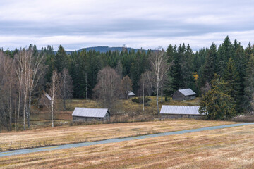 Wall Mural - Eiktunet open air museum above the town of Gjovik, Oppland, Norway, a grey morning in late fall.