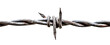 A piece of stretched barbed wire with one sharp coil. Isolated on a transparent background
