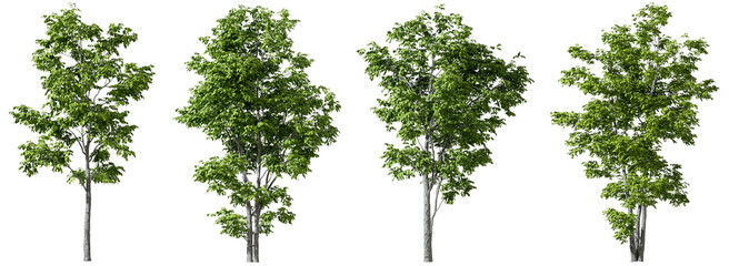 Sticker - Trees decorate shapes set on transparent backgrounds 3d render png