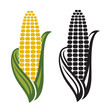 corn cob icons isolated on white background