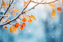 Beautiful Branch With Orange And Yellow Leaves In Late Winter, Snowy Forest In Winter Season, Snowy Weather, December Vibes