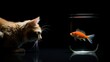 cat looking at a goldfish, black background, 16:9, copy space