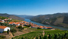 Scenic View Of The Beautiful Pinhao Village Surounded By Vineyards In The Beautiful Douro River Valley Vila Real District Viseu District Portugal