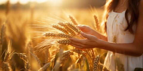 Sticker - hand touching wheat plant on a agriculture field, generative AI