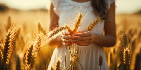 Sticker - hand touching wheat plant on a agriculture field, generative AI