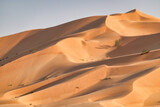 Fototapeta Miasto - Detail of a large golden dune in the Rub Al Khali desert with undulating sand lines and bushes Oman