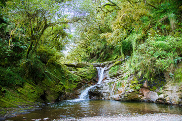 Wall Mural - Waterfall and stream in the forest of Los Sosa National Park