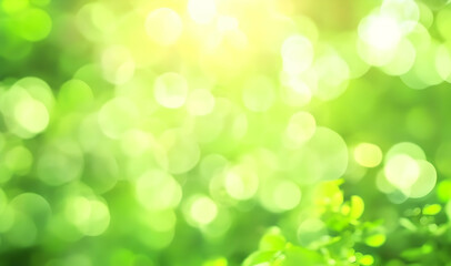 Sticker - Green bokeh abstract light background. defocused nature background.