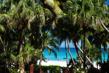 Wall Mural - Varadero ,CUBA - APRIL 08, 2023 : The beach of Varadero in Cuba on a beautiful summer morning