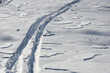 ski tracks in the fresh snow