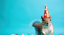 Funny Squirrel With Birthday Party Hat On Blue Background.
