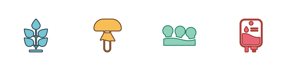 Canvas Print - Set Plant, Mushroom, Vacuum cans and IV bag icon. Vector